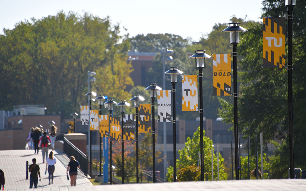 Lamp posts with TU banners line walkway