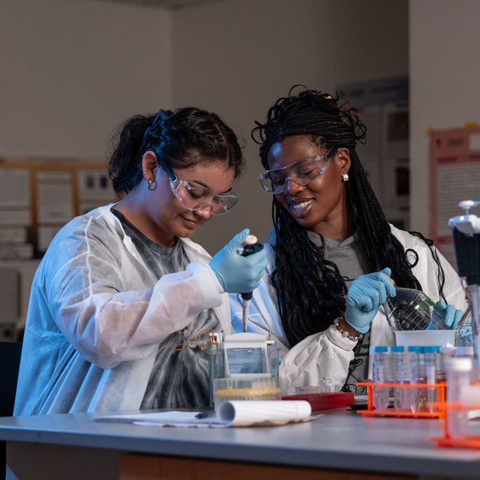Students conduct research in a Course-Based Undergraduate Research Experience