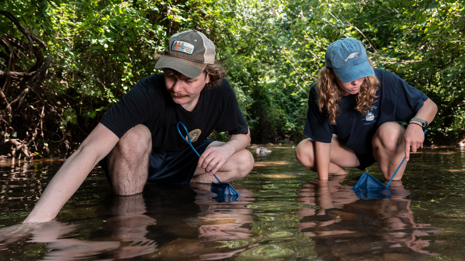 Students searching for Crayfish in a stream 