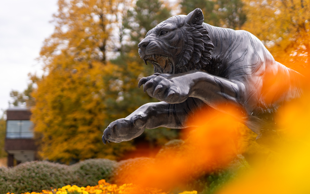 Tiger Statue on Campus