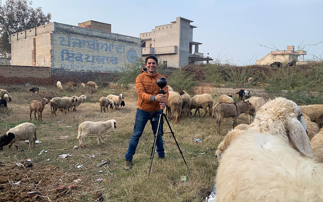 Man standing with tripod in field of sheep