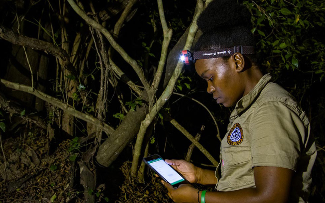 Park ranger looks at phone with trees behind