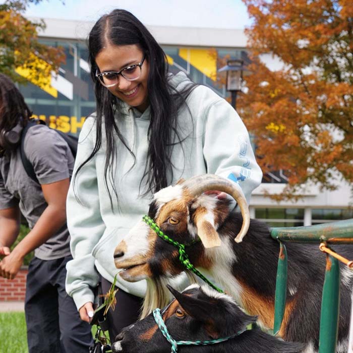 TU student with a goat