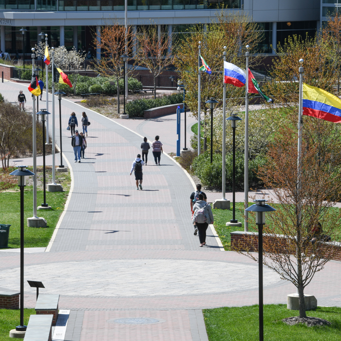 international flags