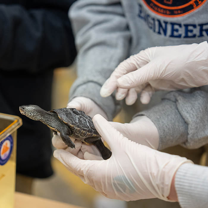 Students holding a turtle