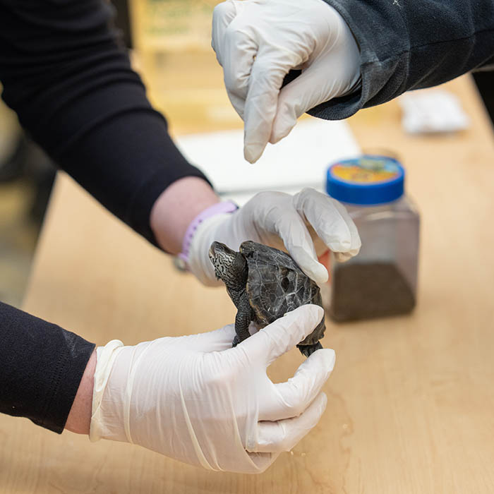 Students presenting engineering project