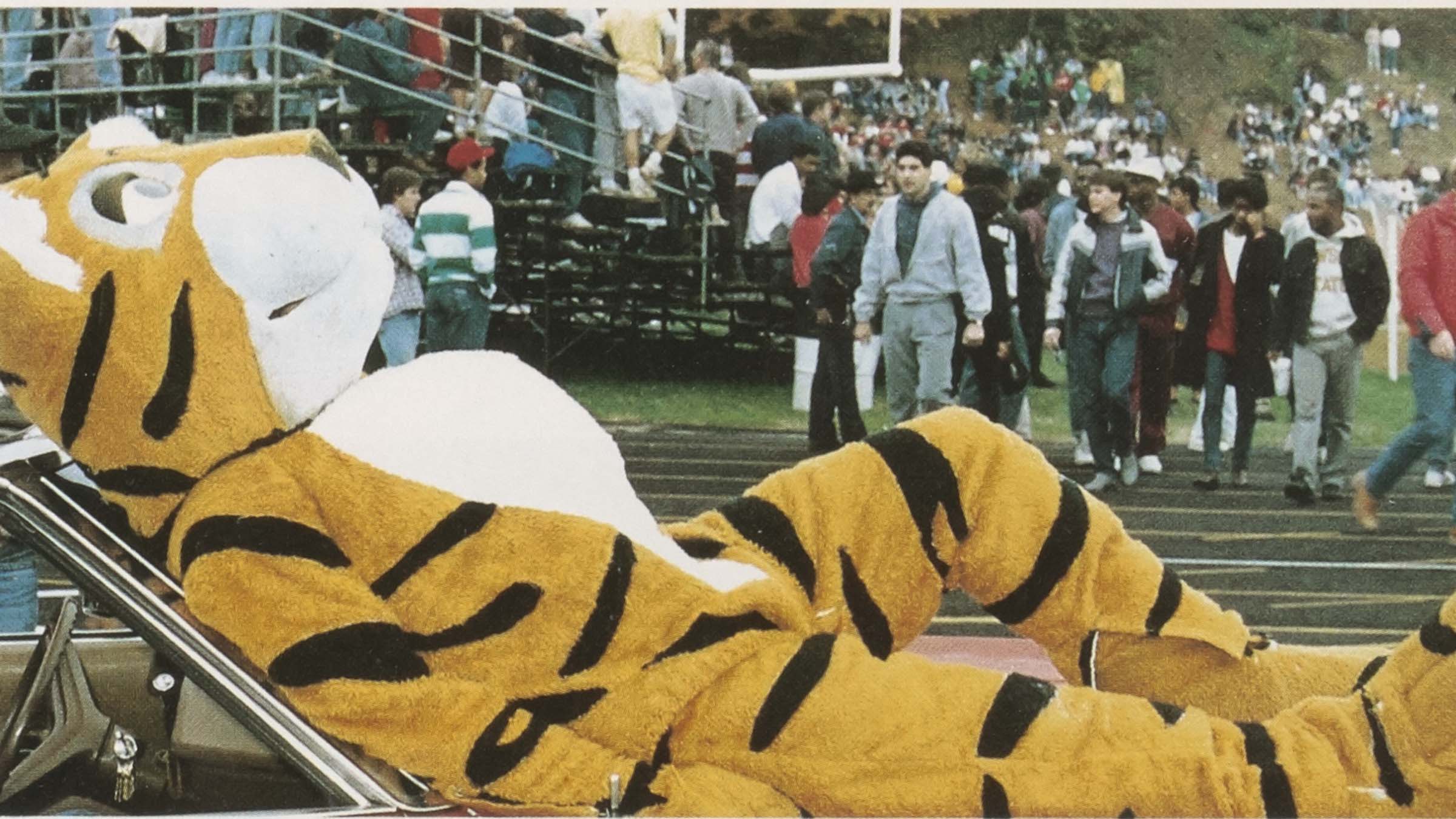 Doc the tiger in 1986