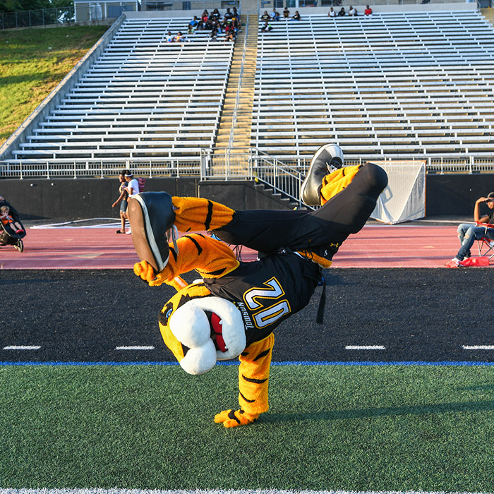 doc the tiger