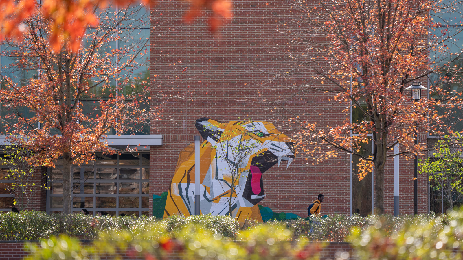 tiger mural