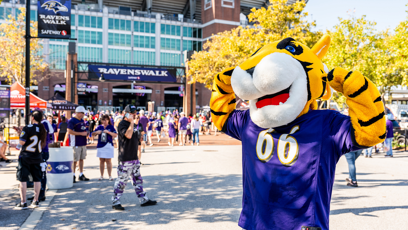 Doc on Ravenswalk