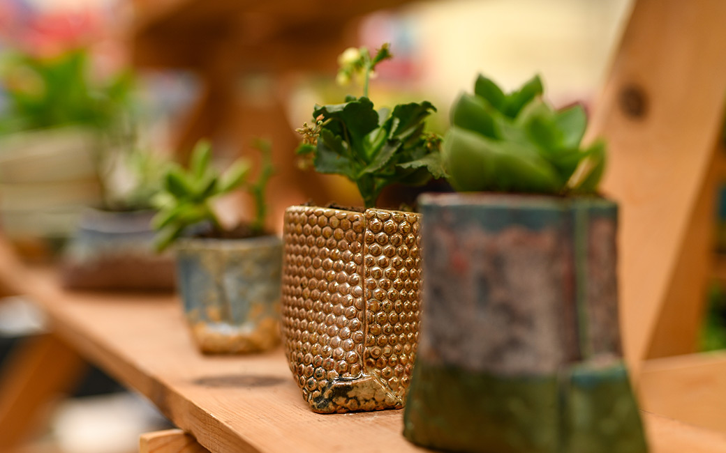 Make a purchase with a purpose at the TU pottery sale Towson University