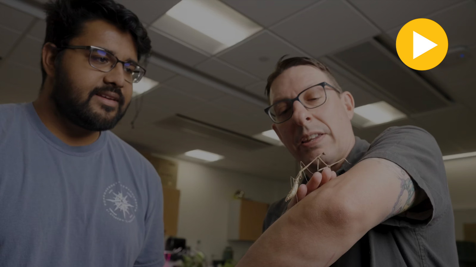 Researchers with a praying mantis