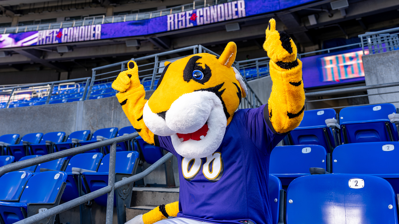 Doc in M&T Bank stadium