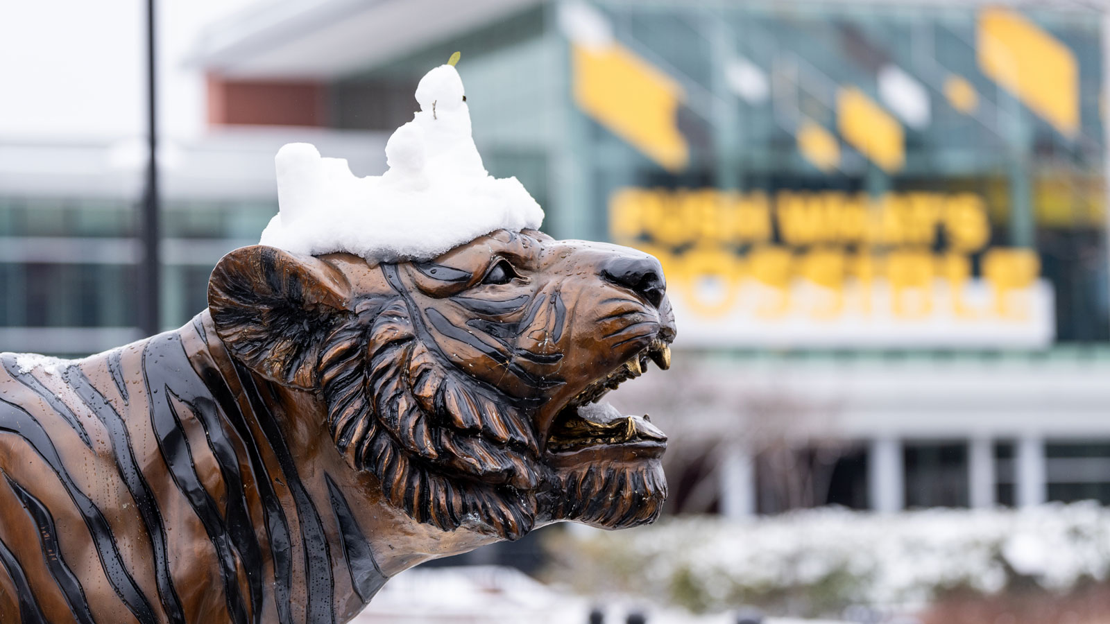 Tiger statue with snow on it
