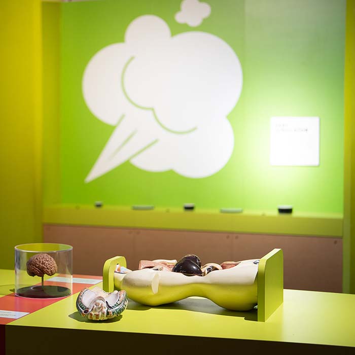 Fart sound machine at the Maryland Science Center