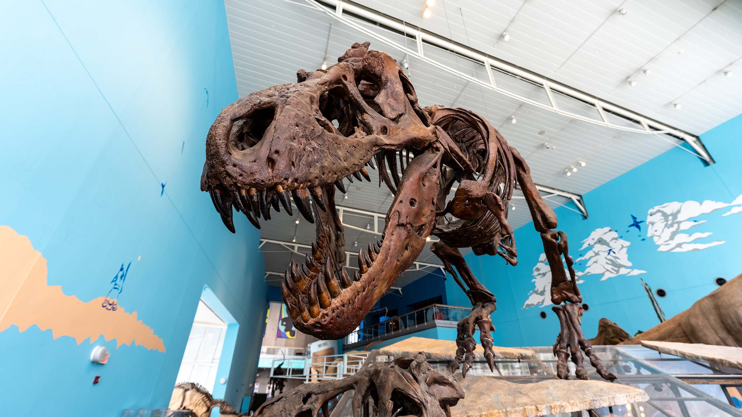 Dinosaur exhibit at the Maryland Science Center