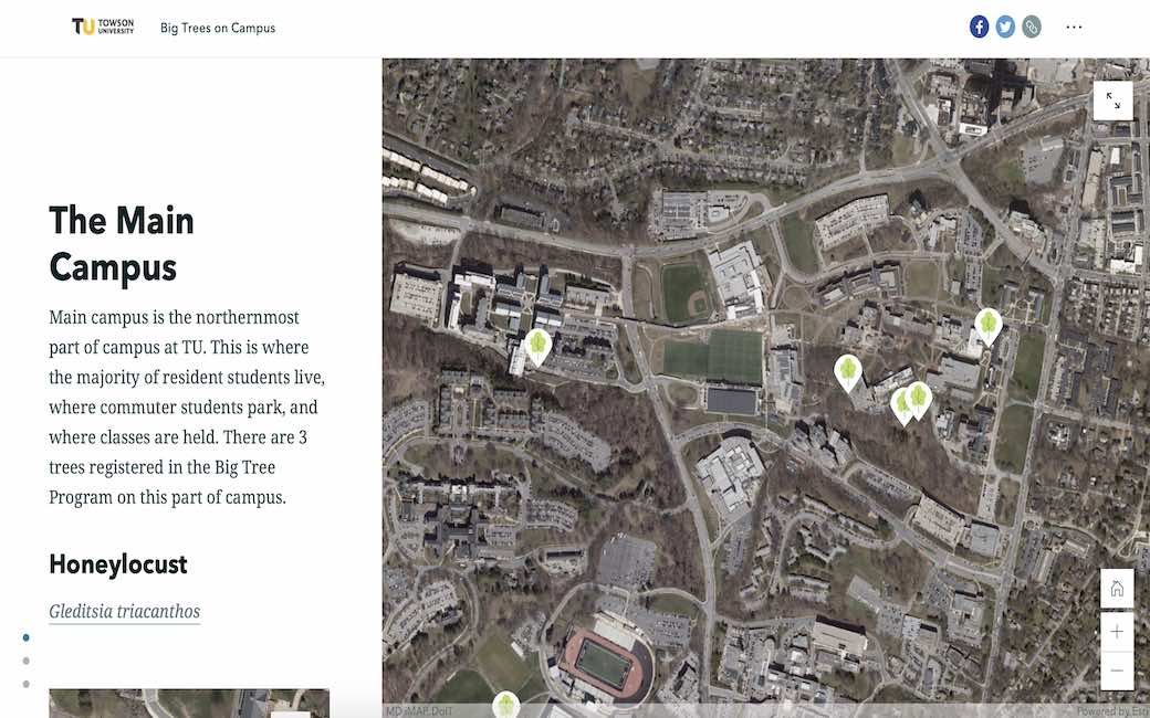 Screen grab of the story map of big trees