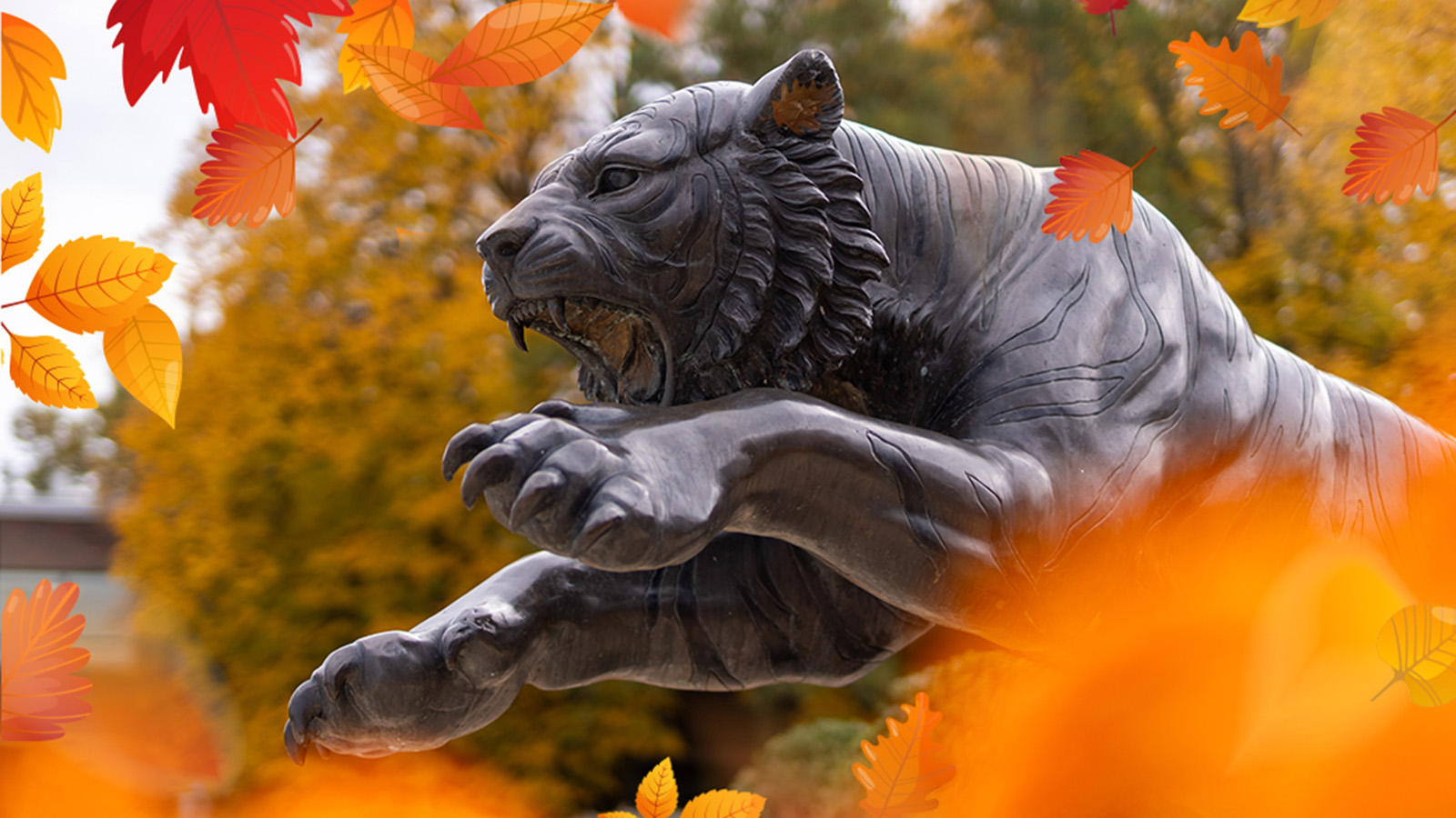 tiger in autumn leaves