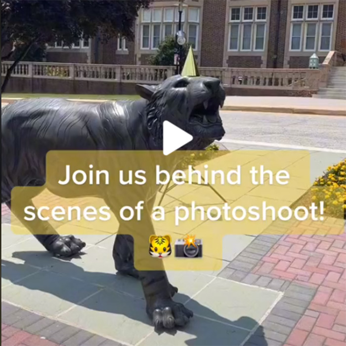 tiger statue; join us  behind the scenes of a photoshoot