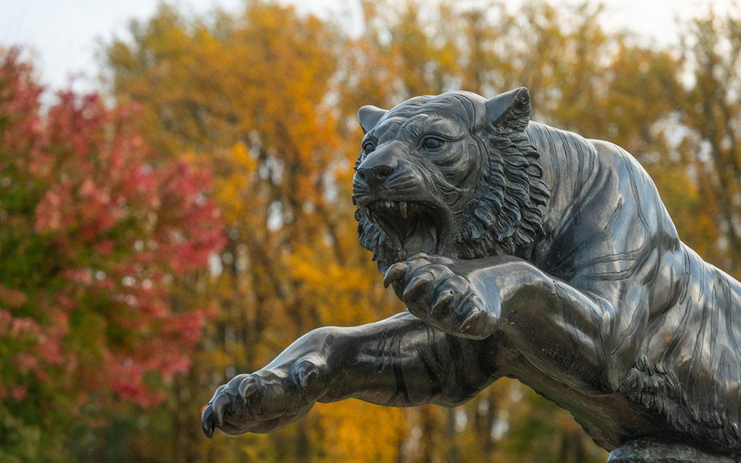 Tiger statue with fall foliage in background