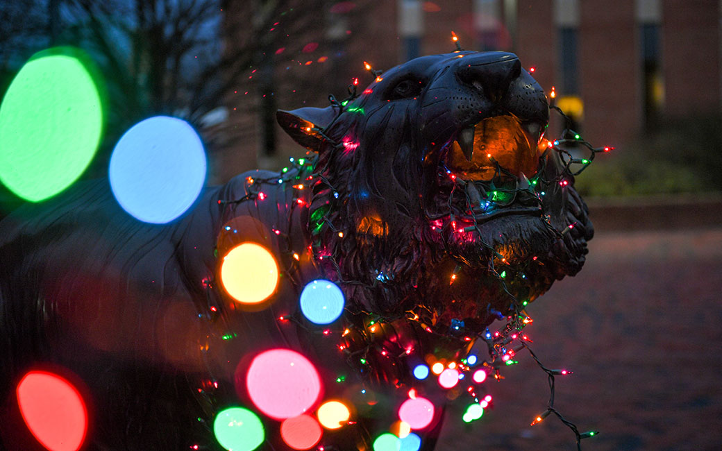 Tiger statue at dusk wrapped with multicolor light strand