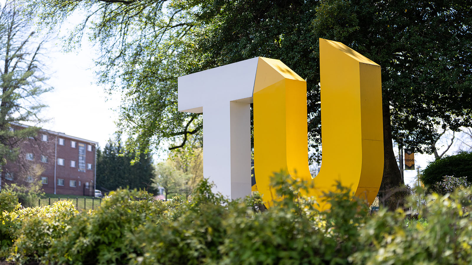 TU logo placed within bushes