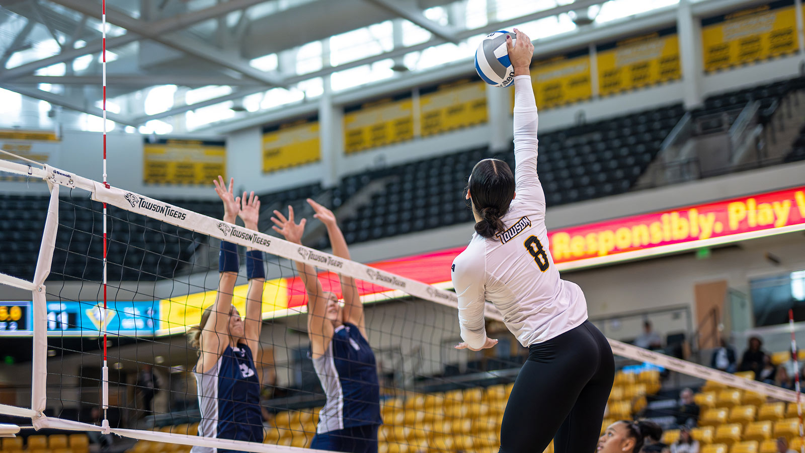 tu volleyball player spiking the ball