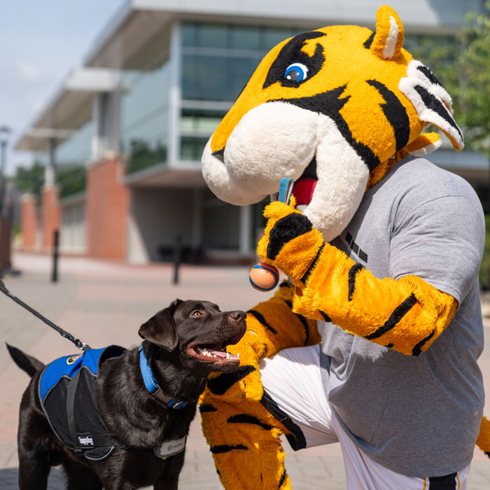 Doc and Bruno the comfort dog share a fun moment outside of Burdick Hall