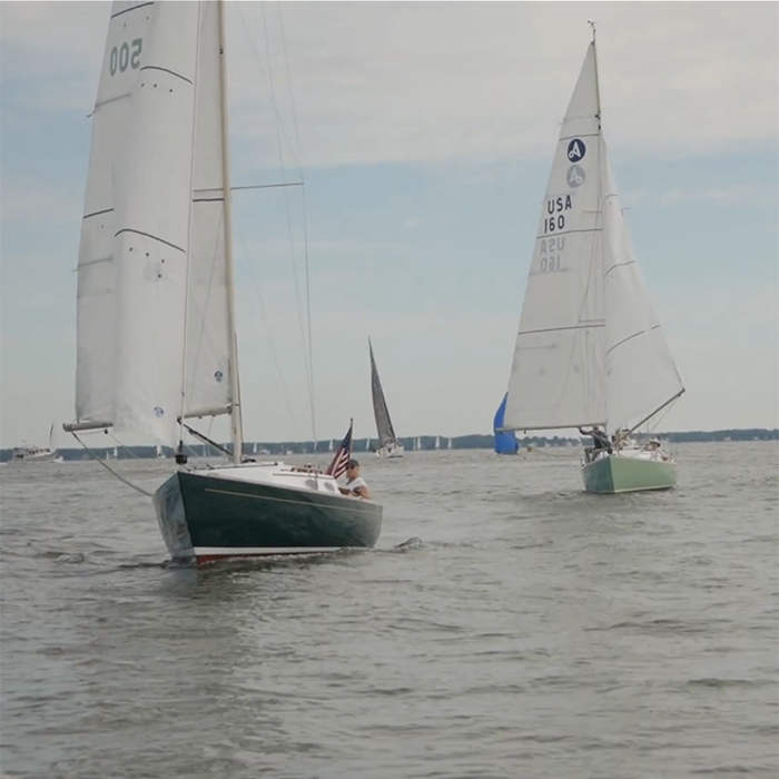 sail boats in the Chesapeake bay