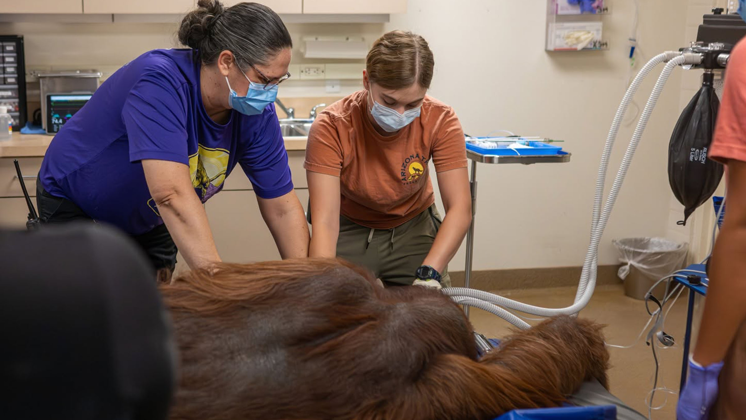Sarah Dickerson and coworker with orangutans