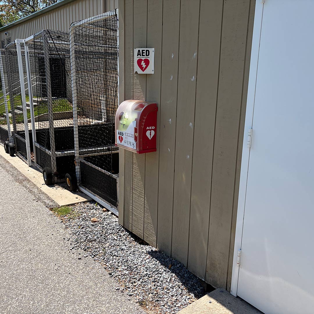 Tennis/Softball Shed
