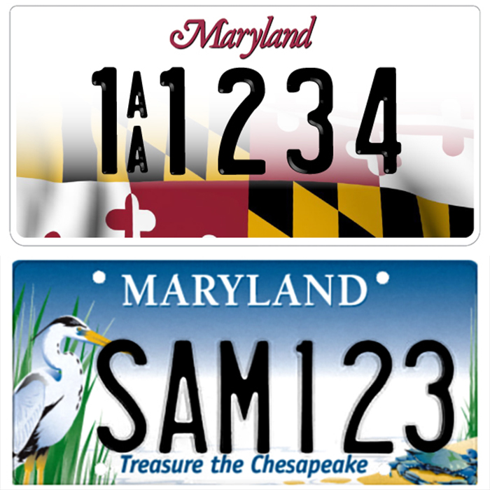 License plate examples