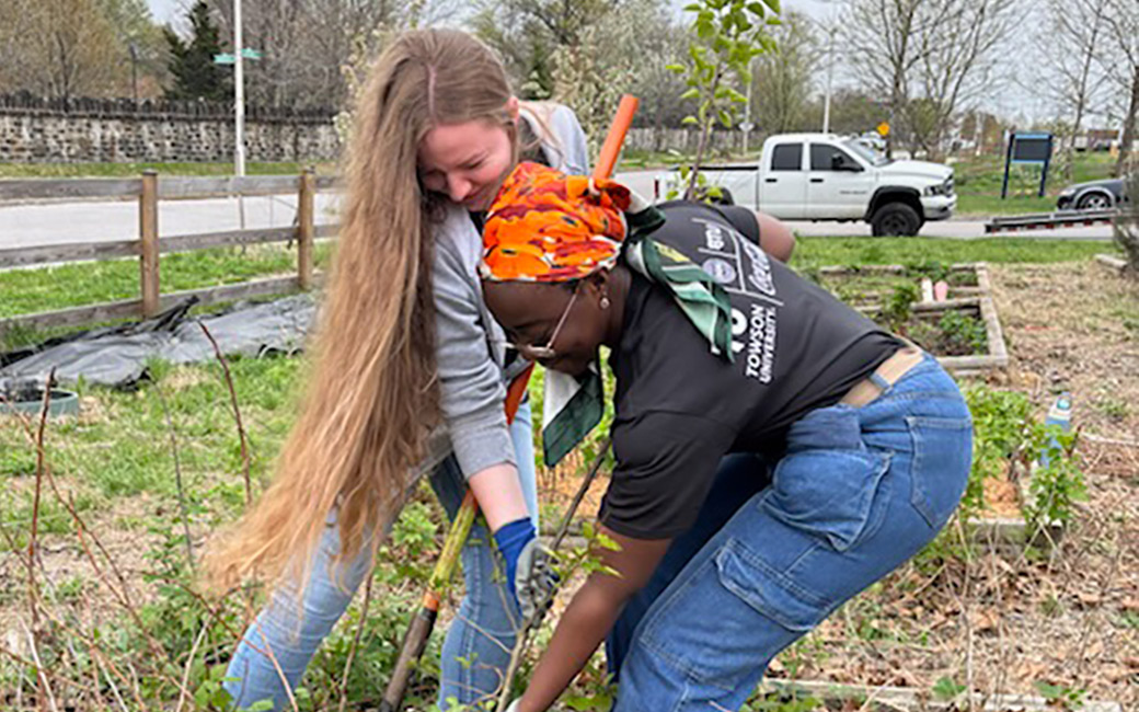 Social Action Collaboratory Fellows