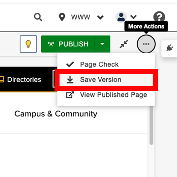 Screen shot of the More Actions menu with “Save Version” selected